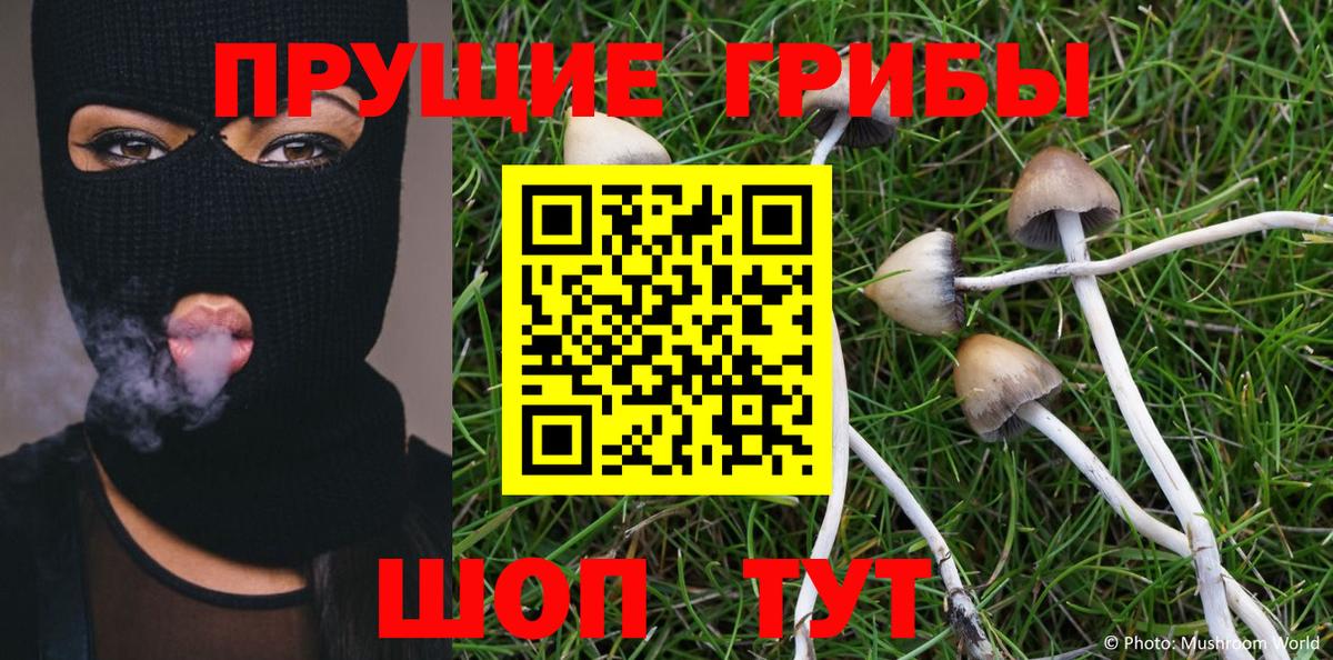 Псилоцибиновые грибы MAGIC MUSHROOMS  Вход с VPN  Железногорск 