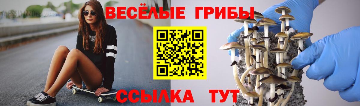 Псилоцибиновые грибы GOLDEN TEACHER Железногорск